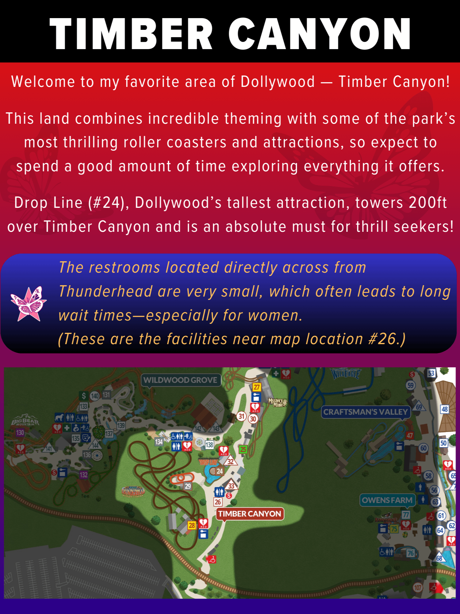 Dollywood 2026 Ultimate Guidebook: Save Time, Money & Stress! product image (4)