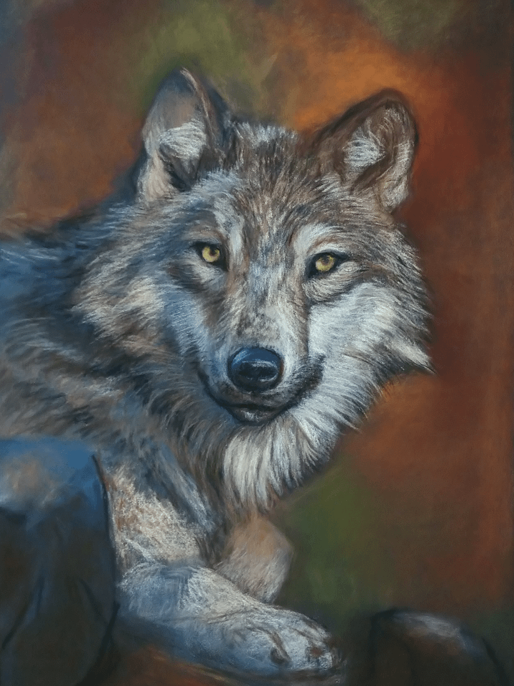 Wolf product image (1)
