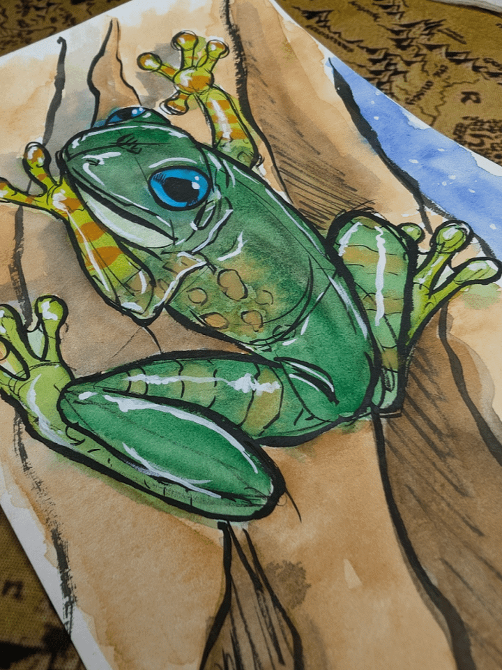 Tree Frog Watercolor Ink Sketch product image (2)