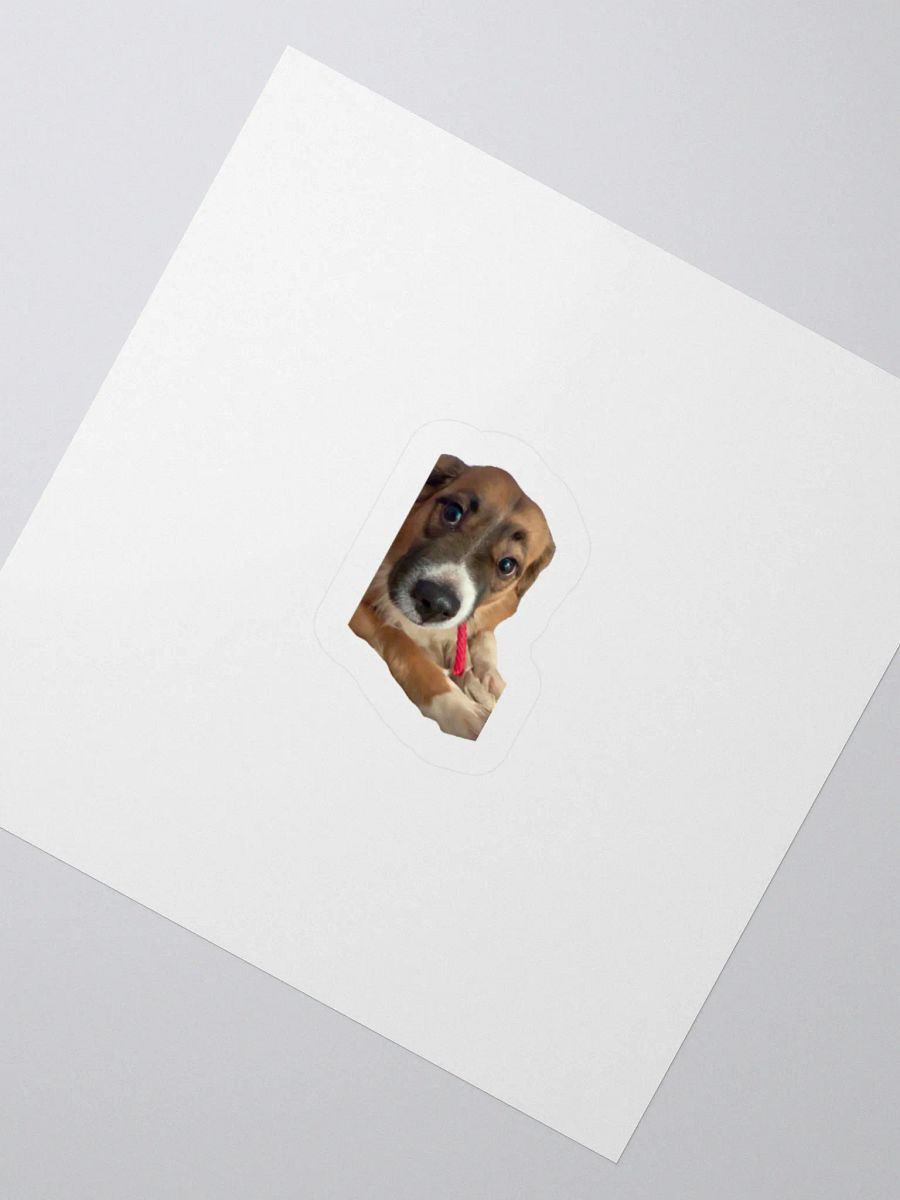 Harry Stickers - Licorice product image (4)