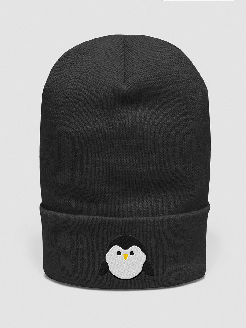 OfPingu,s Hat