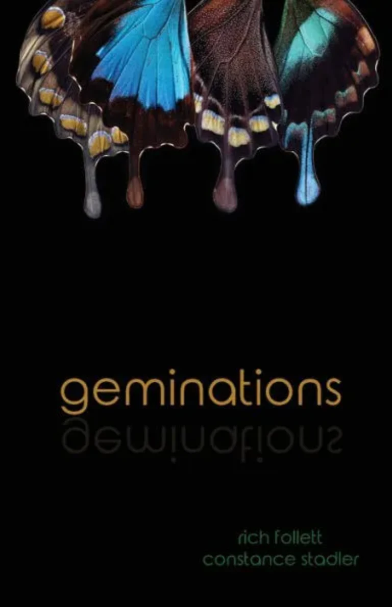 geminations product image (2)