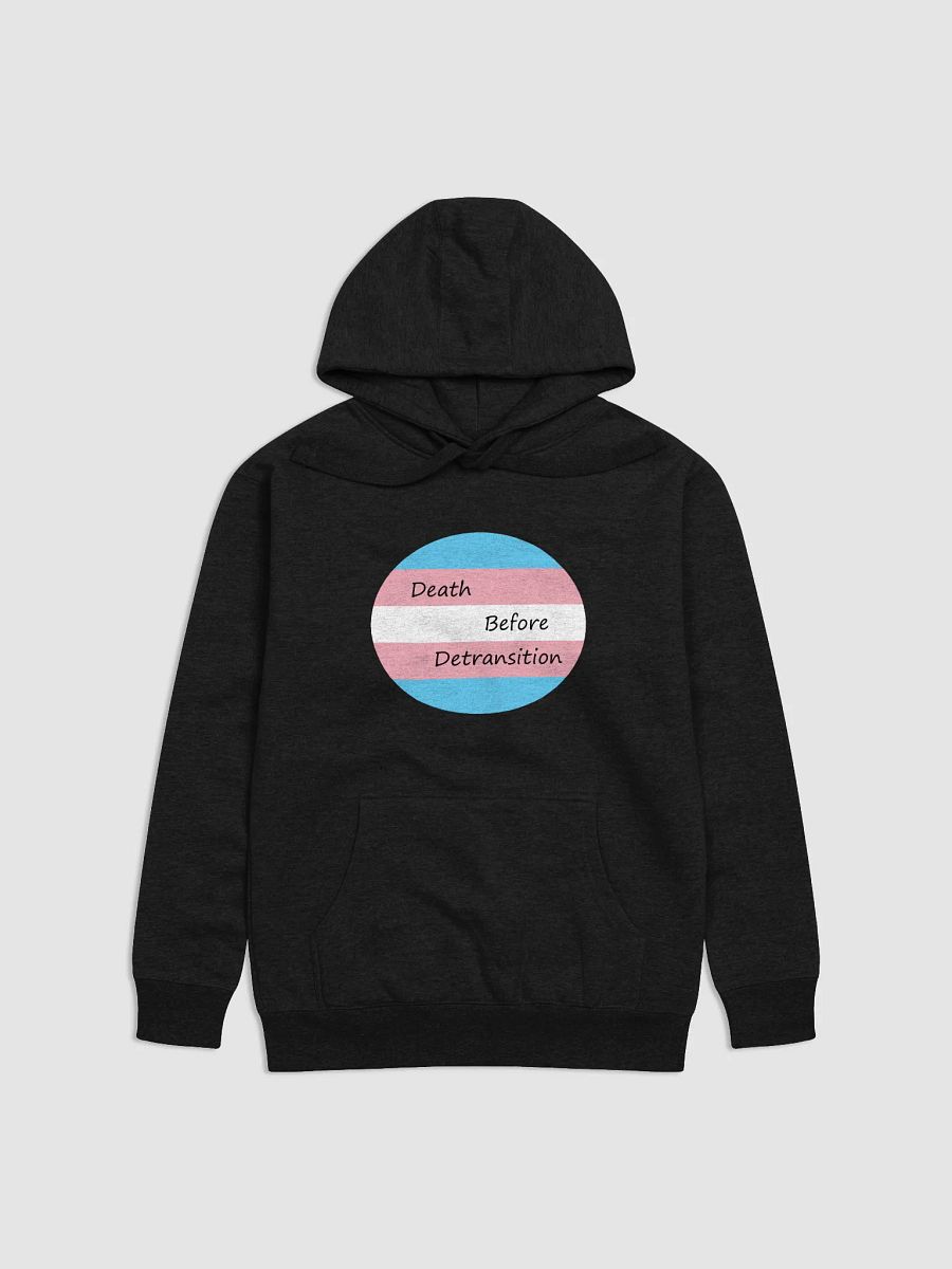 Death Before Detransition Hoodie product image (1)