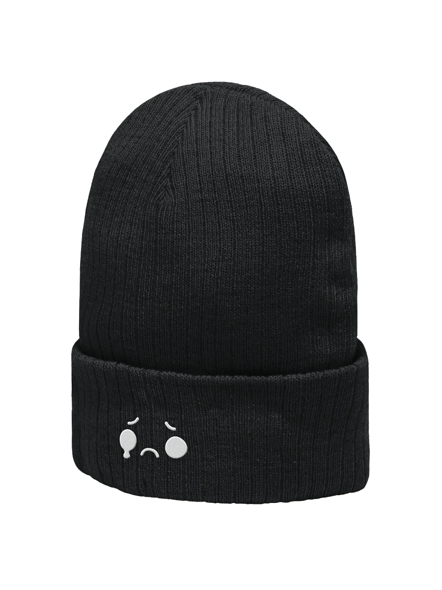 Temporary Beanie product image (8)