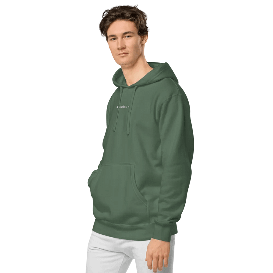 aquarius horoscope hoodie product image (5)