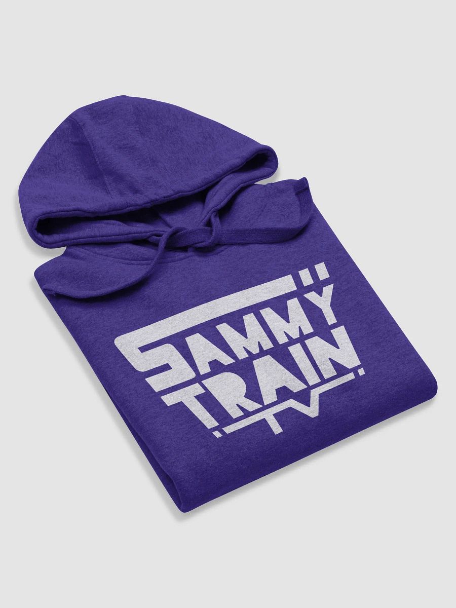 SammyTrainTV Logo Hoodie product image (53)