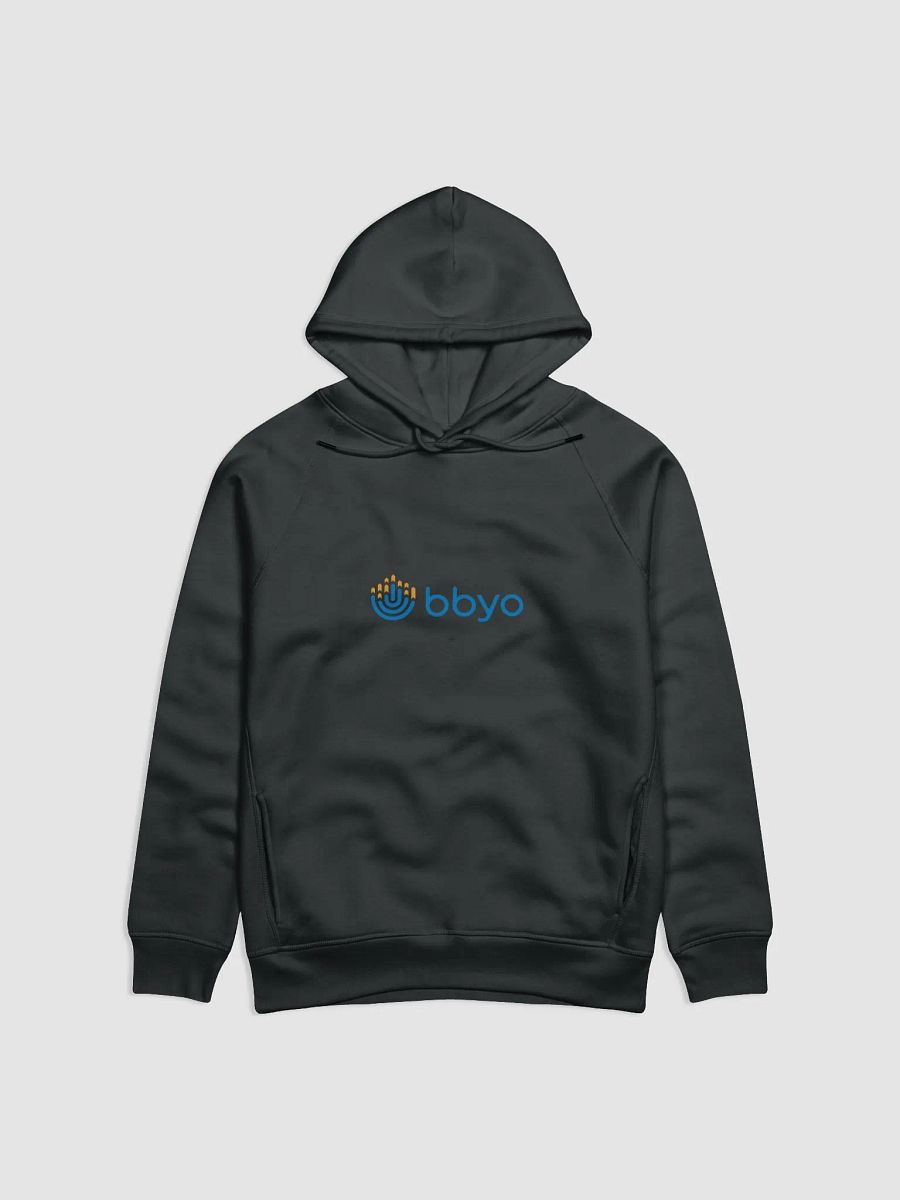 BBYO Hoodie product image (1)