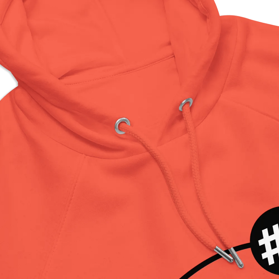 'Proverbs 1:7' Hoodie product image (7)