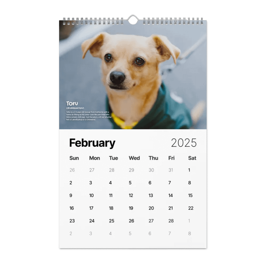 Official 2025 Calendar product image (5)
