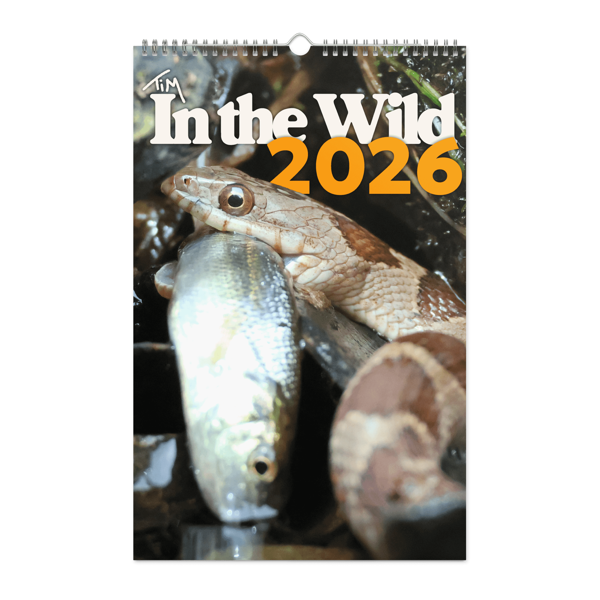 2026 Wall Calendar product image (1)