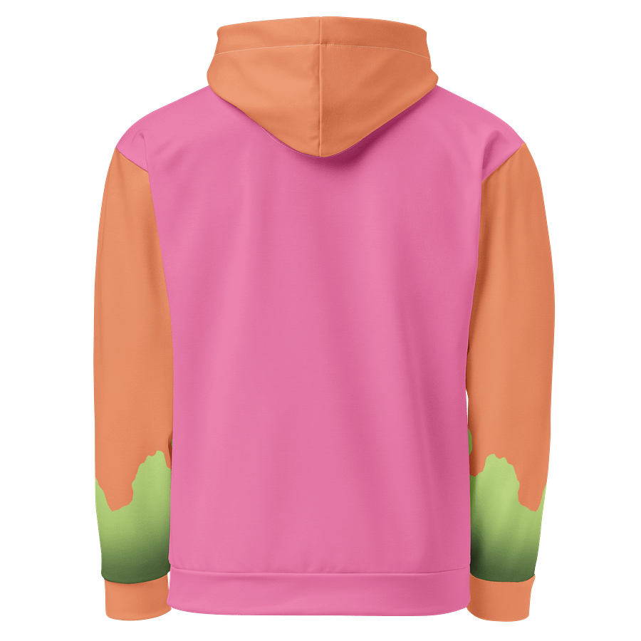 Liivya Logo Colour Block Hoodie product image (3)