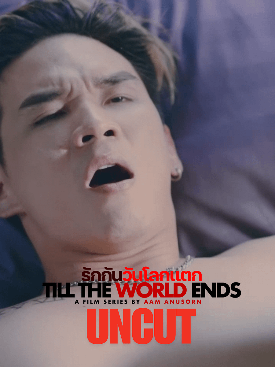 Till The World Ends: Uncut Edition – Full Series with Bonus Content (MP4) product image (4)
