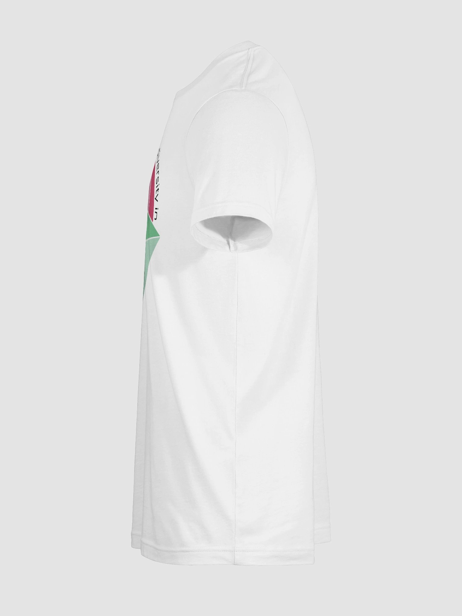 abrosexual diversity t-shirt product image (11)