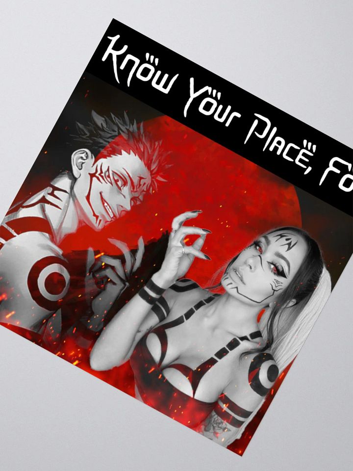 Know Your Place, Fool Sticker product image (6)