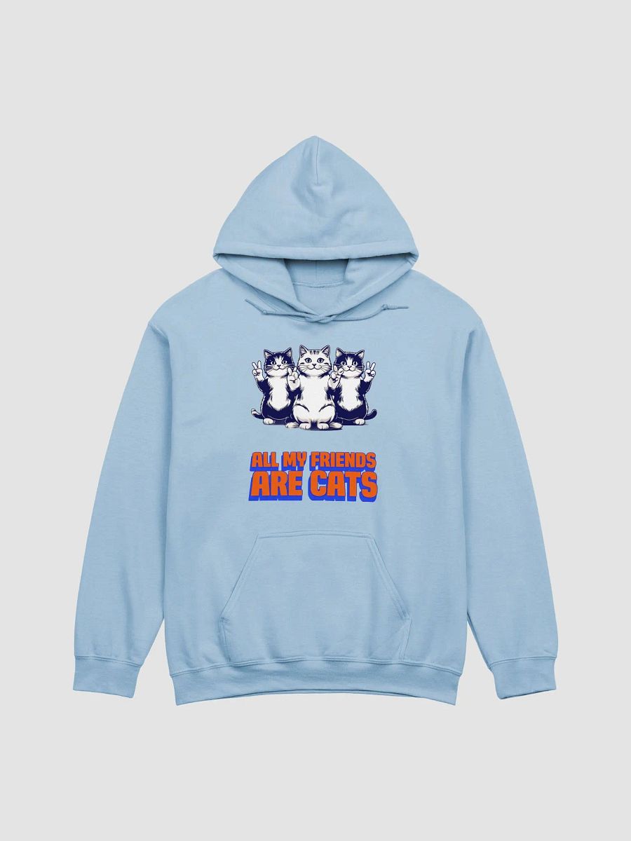 all my friends are cats hoodie product image (1)