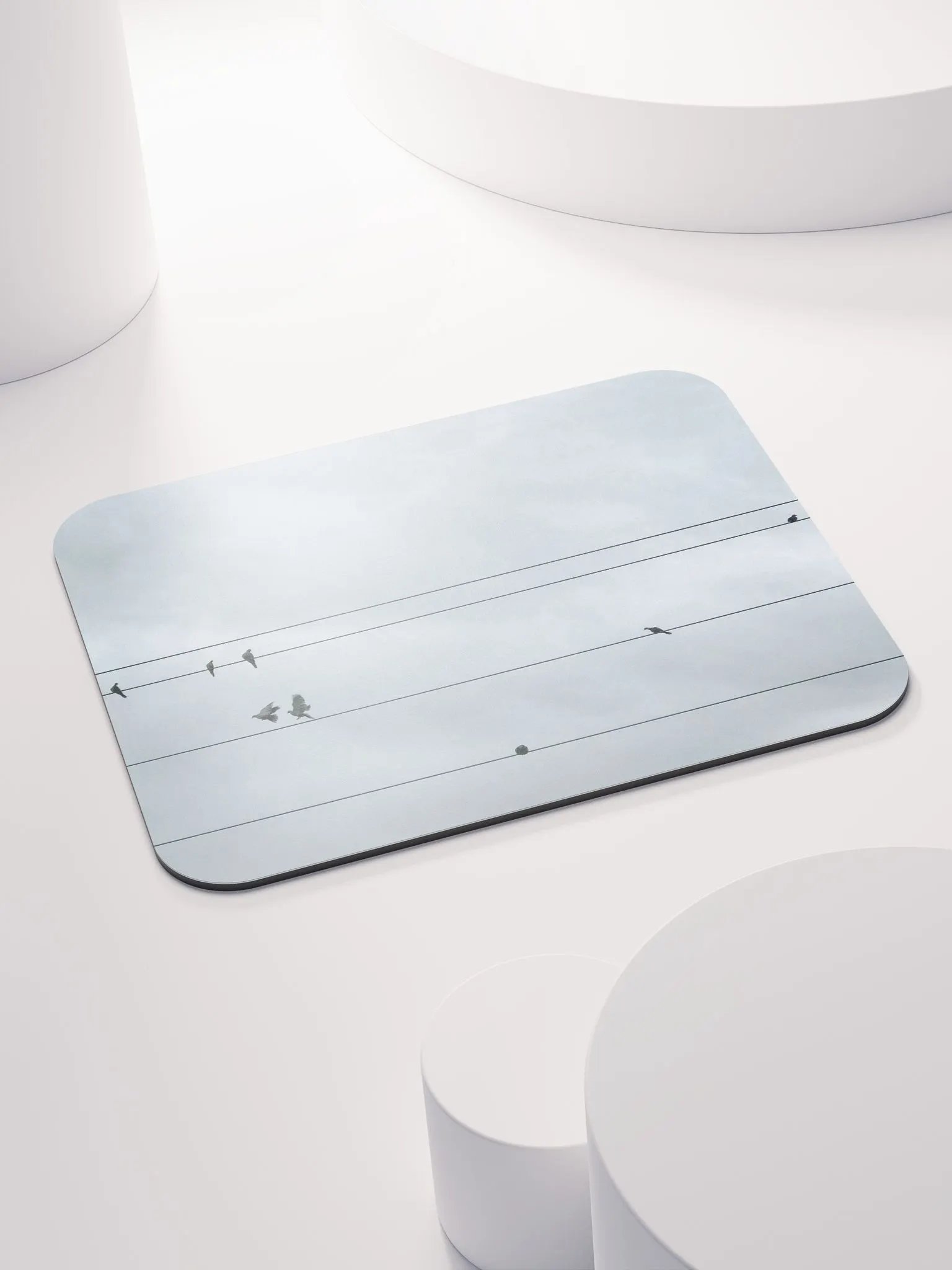 Bird Power product image (4)
