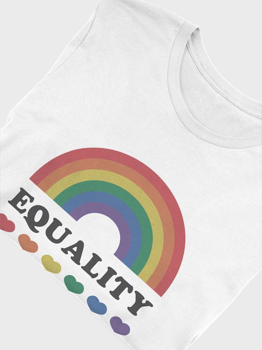 Equality T shirt product image (3)