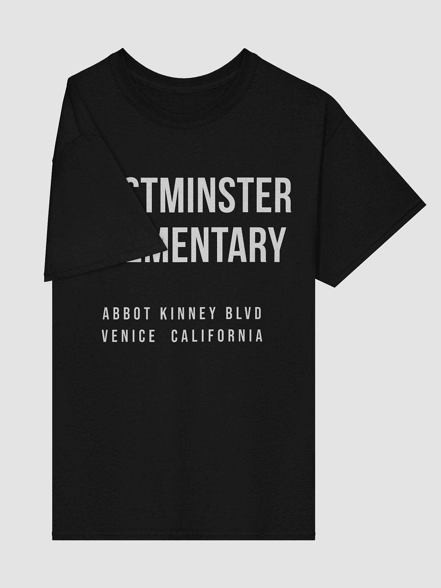 Adult Westminster Abbot Kinney - Heavyweight Tee product image (4)