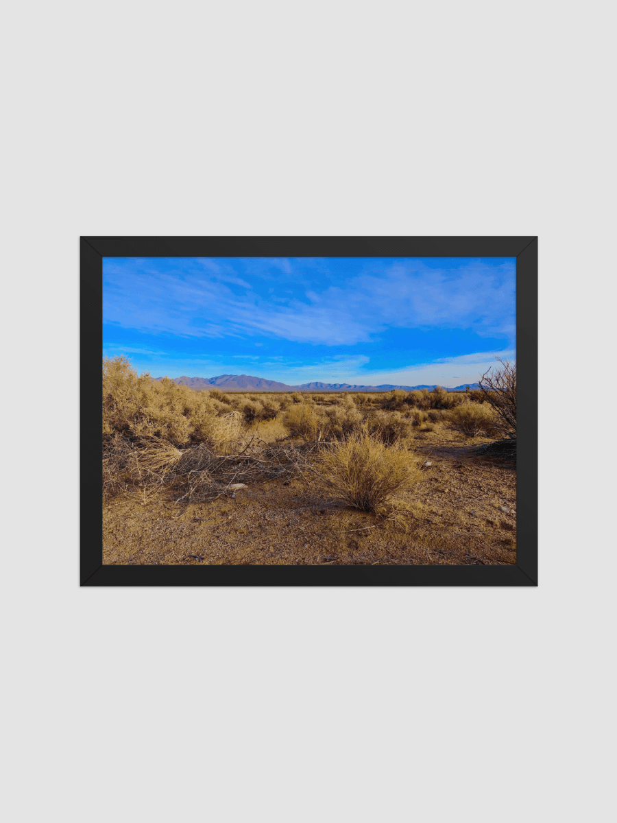 Deserts view Framed photography Poster product image (2)