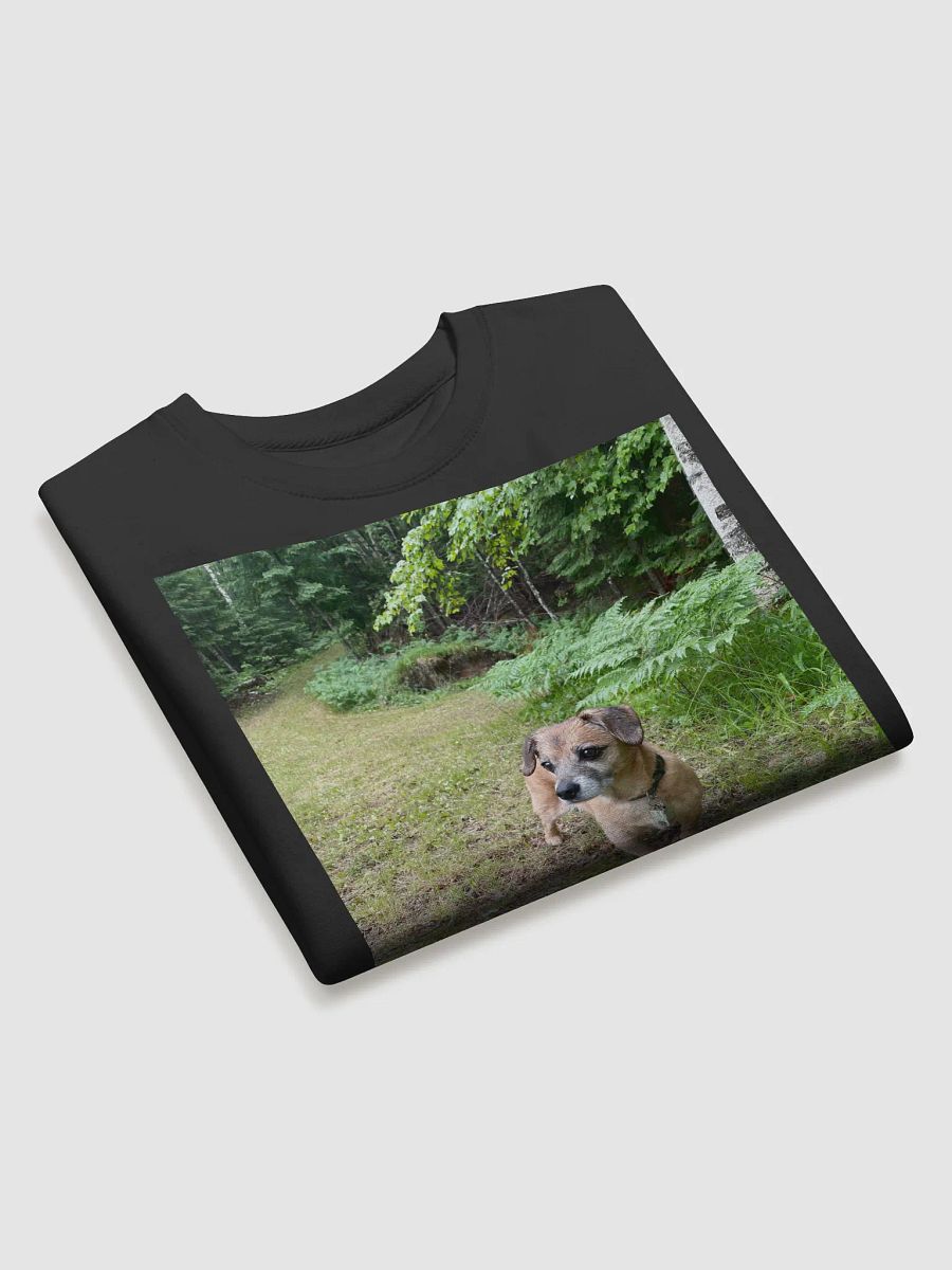 Rocky Sweatshirt product image (3)