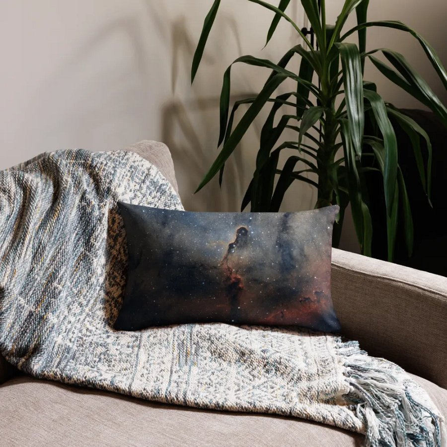 LE COUSSIN DE L'ELEPHANT product image (25)