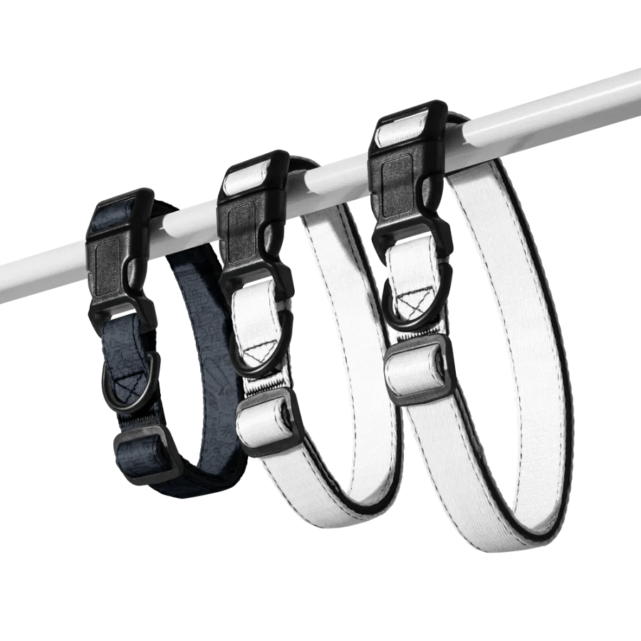 BardicRJ Themed Pet Collar product image (7)