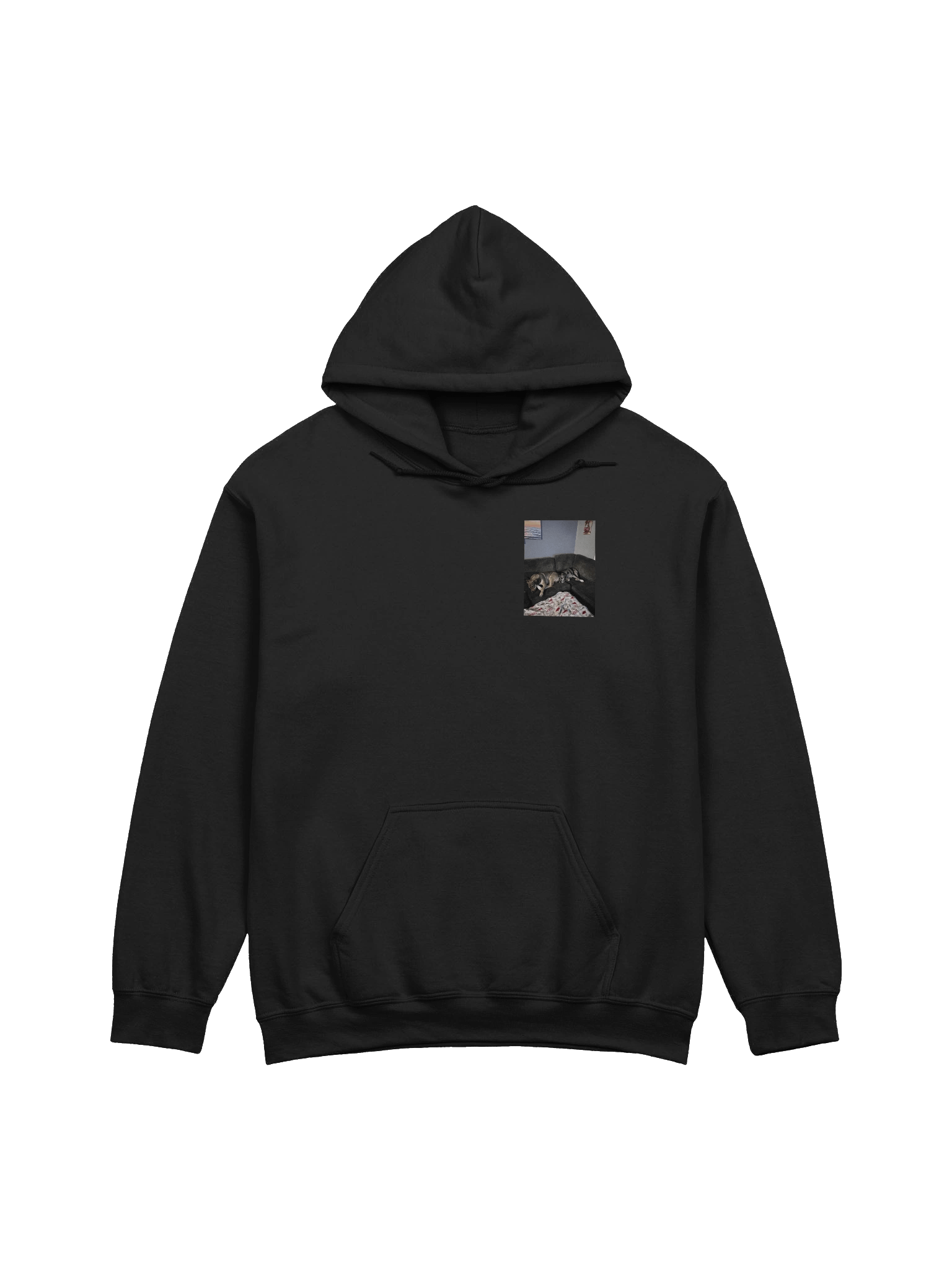 Long Live Sky and Layla Hoodie product image (1)