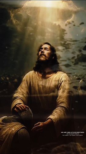 At the very centre of our holy book, it says: “It is better to trust in the Lord than to put confidence in man.” – Psalm 118
...
