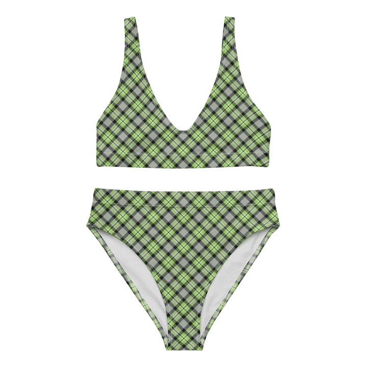 Light Green and Gray Plaid Bikini product image (2)