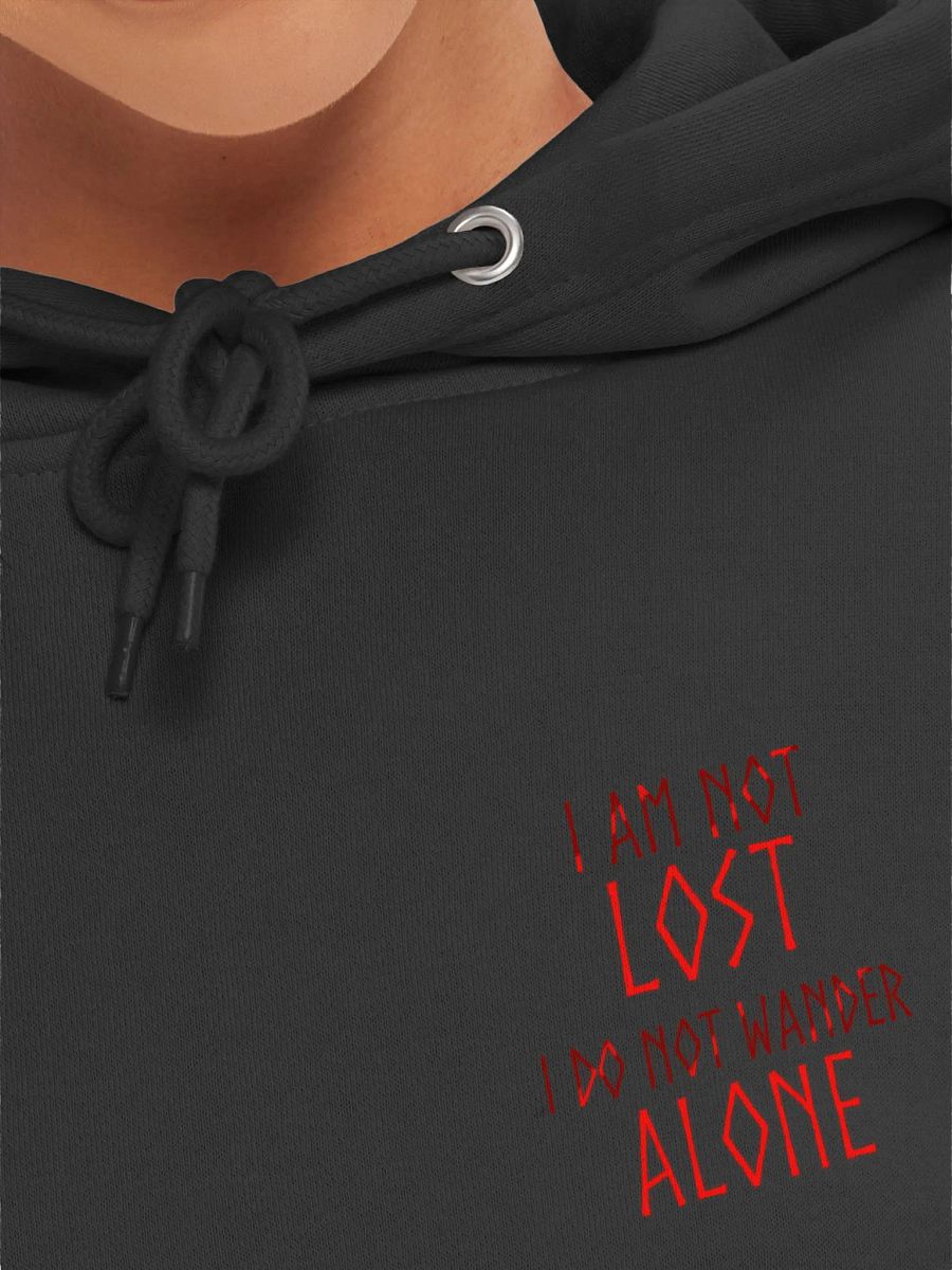 Not All Who Wander Hoodie product image (7)