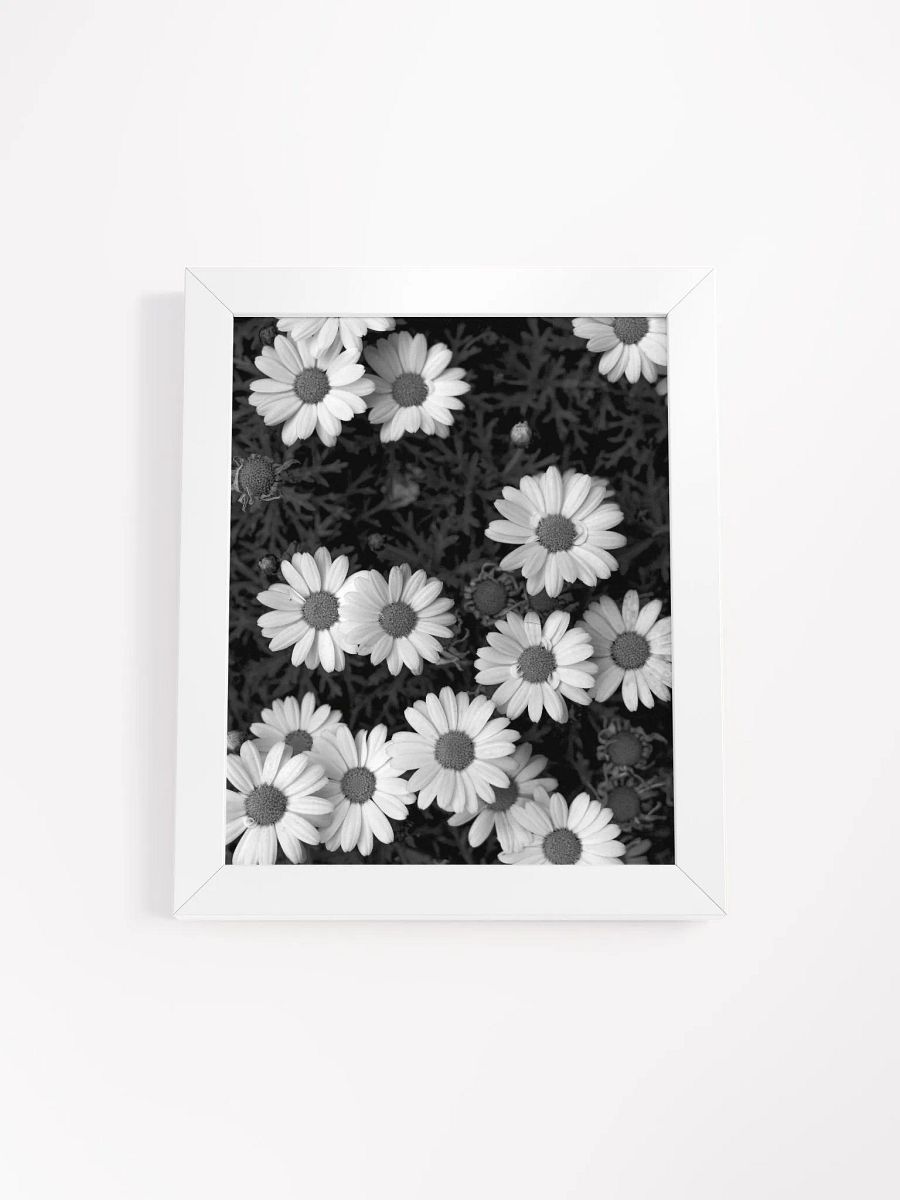 Daisy Flowers - Framed High-Quality Matte Poster product image (1)
