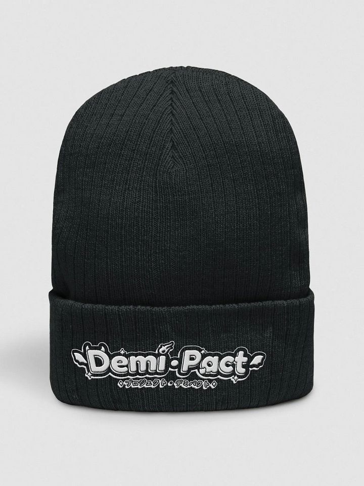Agency Logo Beanie product image (2)