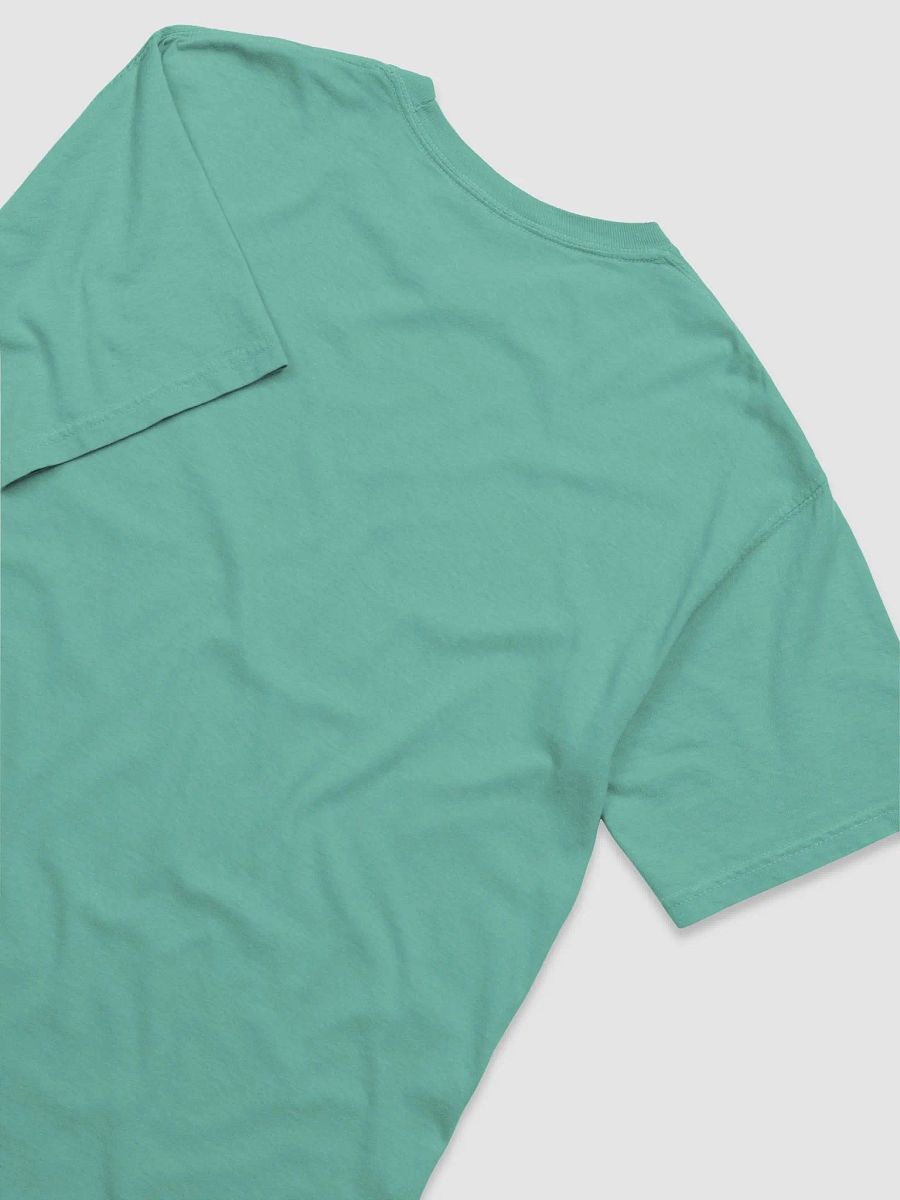 The Stash-N-Dash (Squirrel) - Comfort Colors Garment-Dyed Heavyweight T-Shirt product image (53)