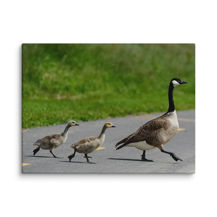 The March of May (Canvas Print) product image (1)