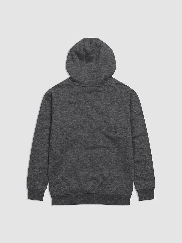 Dangerous To Go Alone Hoodie product image (2)