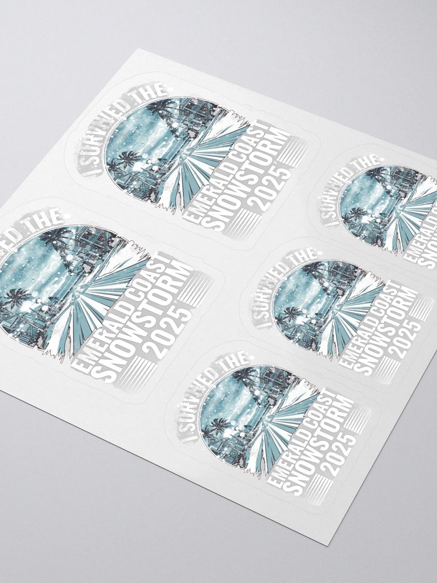 I Survived the Emerald Coast Snowstorm 2025 Sticker Set product image (3)