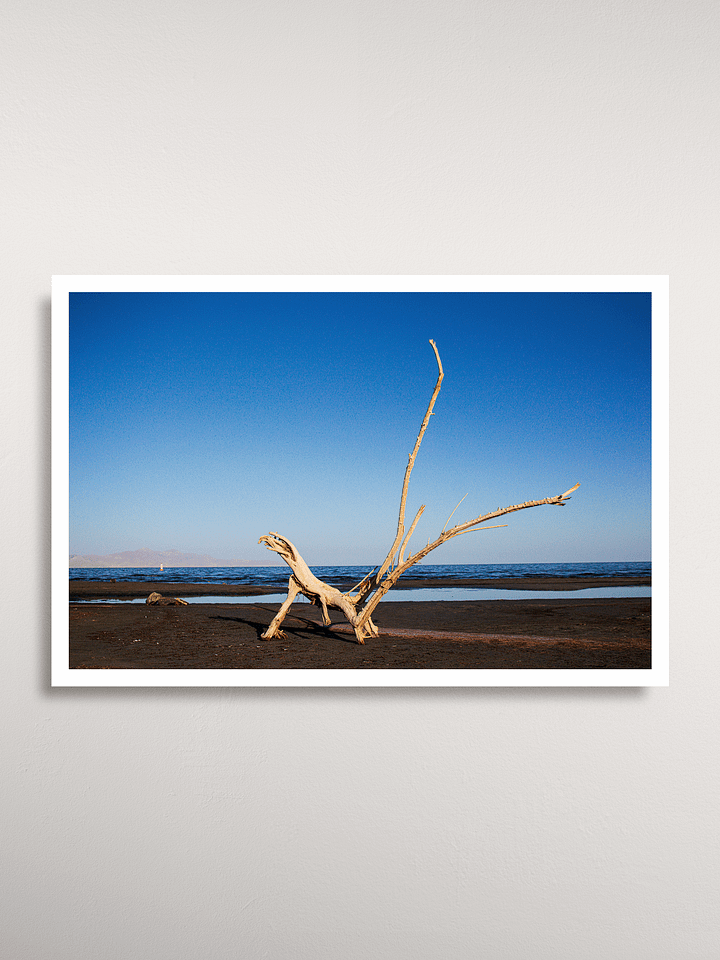 Great Salt Lake State Park Poster product image (1)