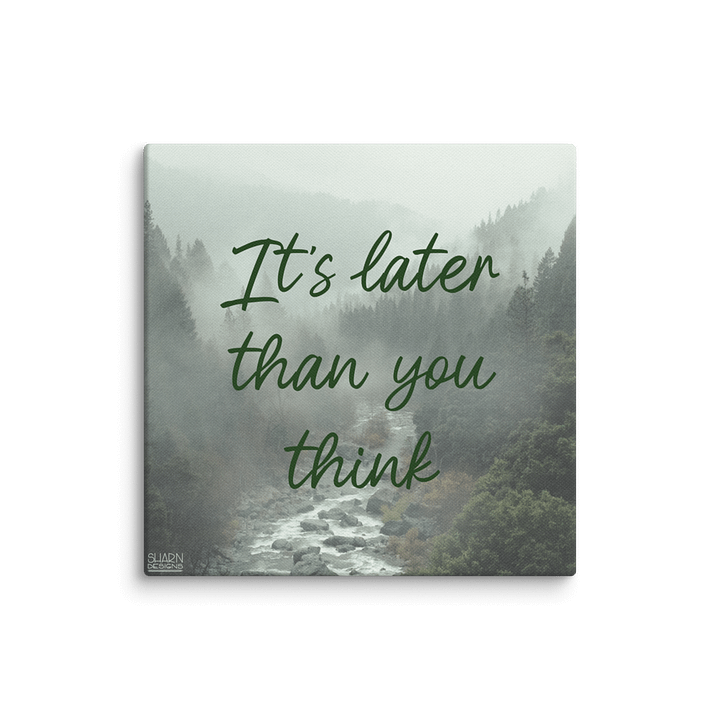 Later Demotivational Canvas product image (1)