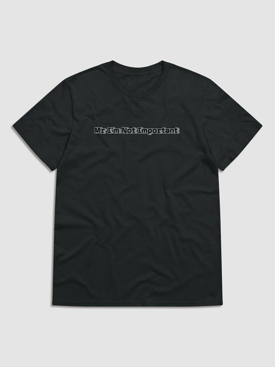 Lightweight Fashion Short Sleeve T-Shirt - Mr I'm Not Important product image (1)