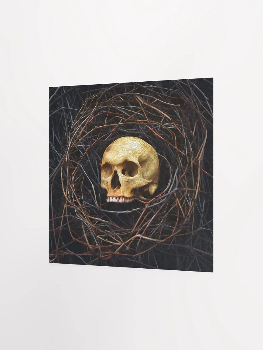 "Skull Nest" - 8x10 Matte Print product image (3)