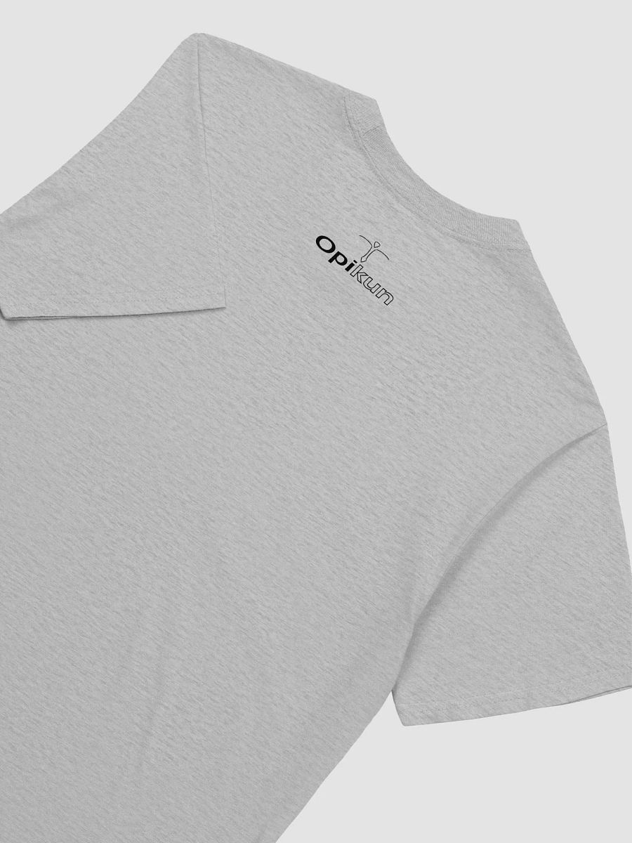 Conspiracy Leads To Spirituality - Gildan Unisex Softstyle T-Shirt product image (4)