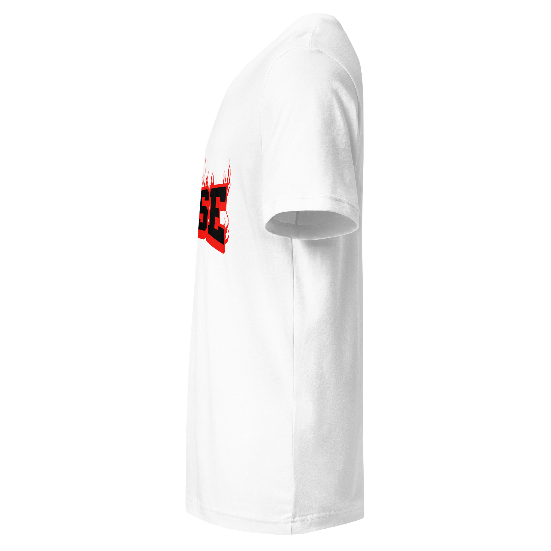Rise in Flames V-Neck Tee product image (5)