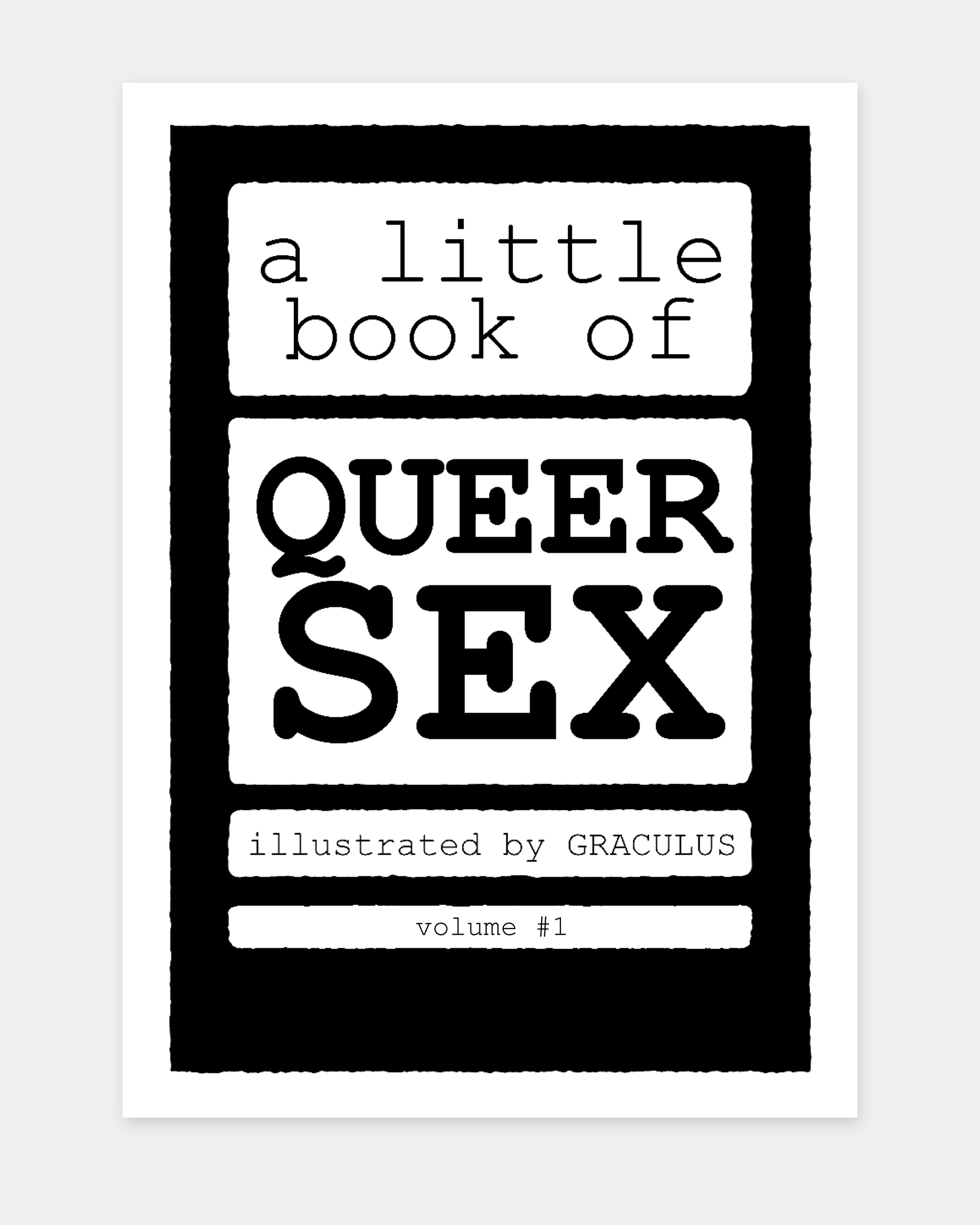 A Little Book of Queer S*x: Volume #1 - print at home product image (1)