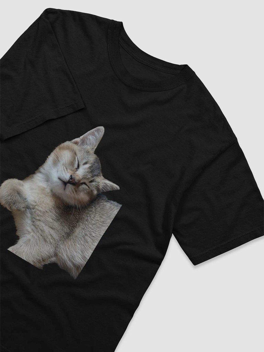 Sleeping Cat Tee product image (14)
