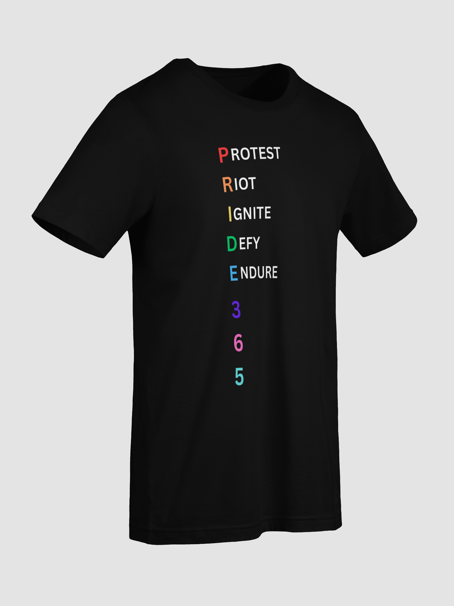 Pride 365 (protest, riot, ignite, endure) Tee product image (50)