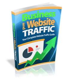 Business and Website Traffic- Your Complete Website Traffic Guide product image (1)