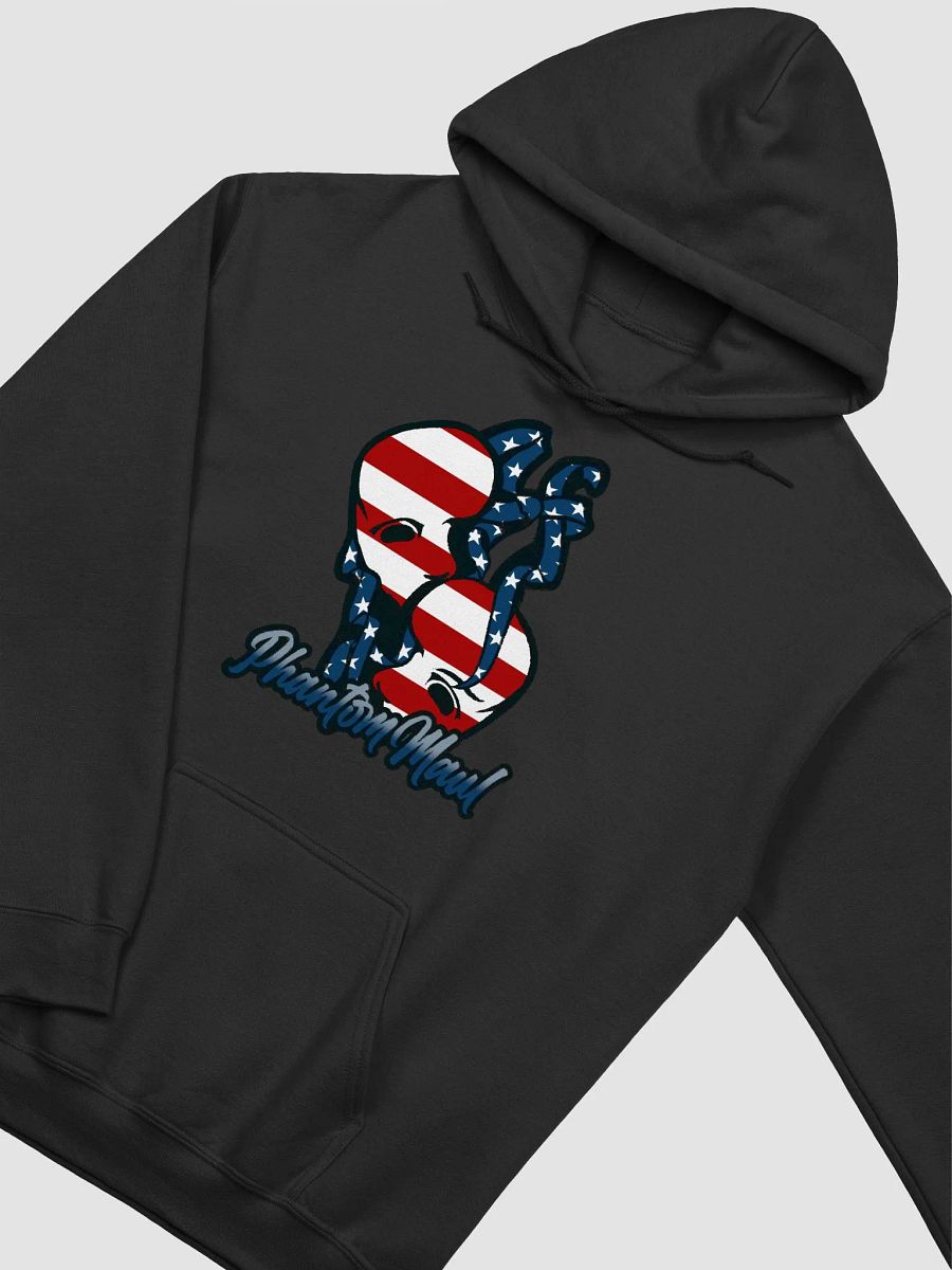 USA Logo Classic Hoodie product image (30)