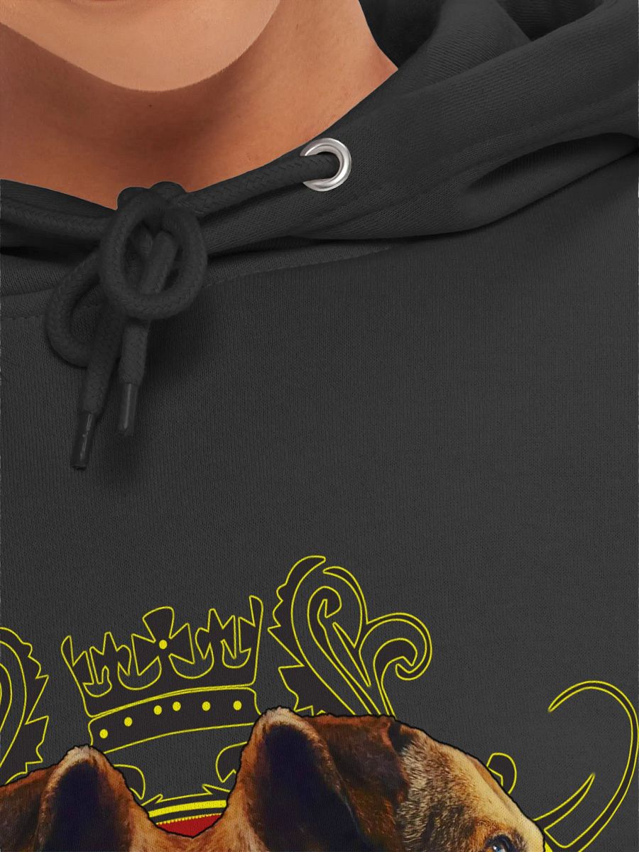 FLY PHIOLOSOPHY / WANDER LORD (pull-over hoodie) product image (7)