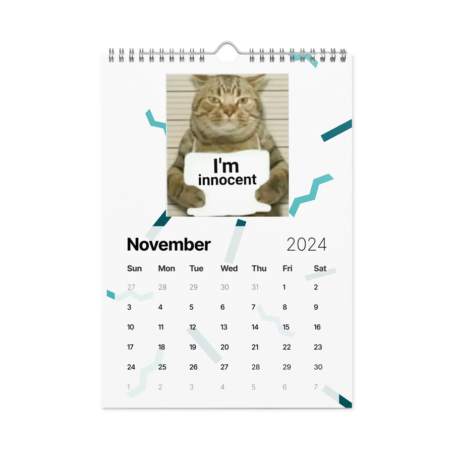 Wall Calendar (2024): Meme Cats product image (15)