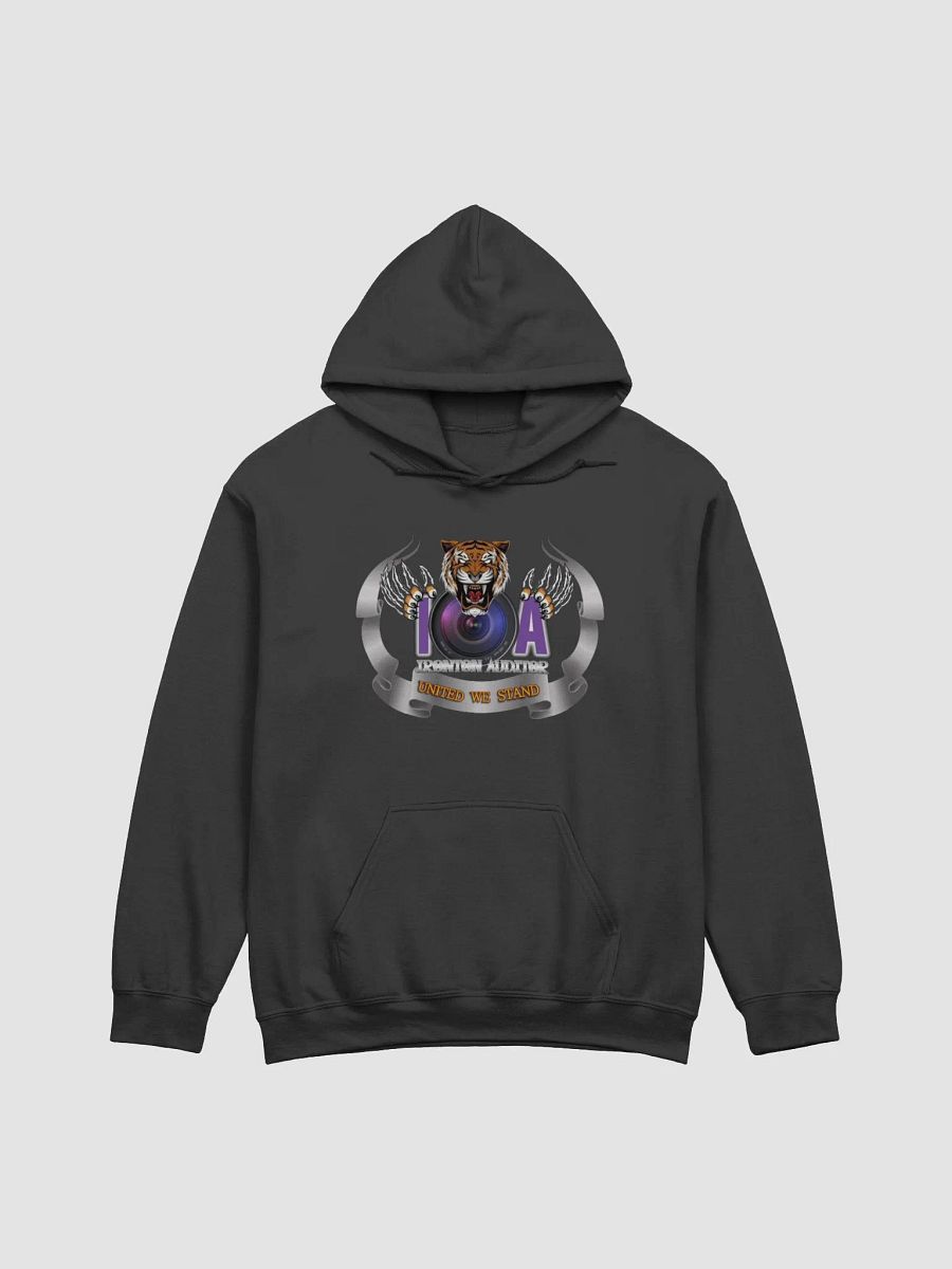 Ladies IA Hoodie product image (2)
